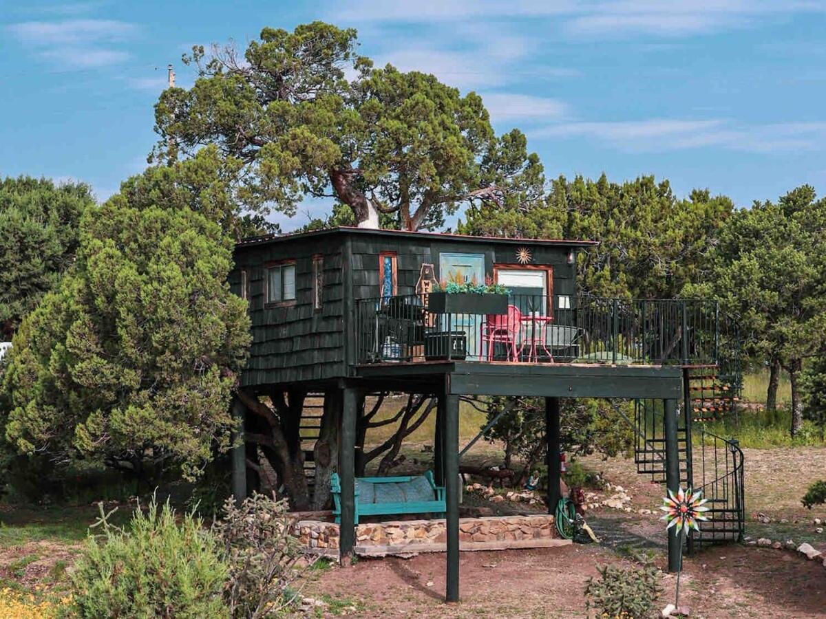 Nogal Ashley'S Treehouse At El Mistico Ranchヴィラ エクステリア 写真