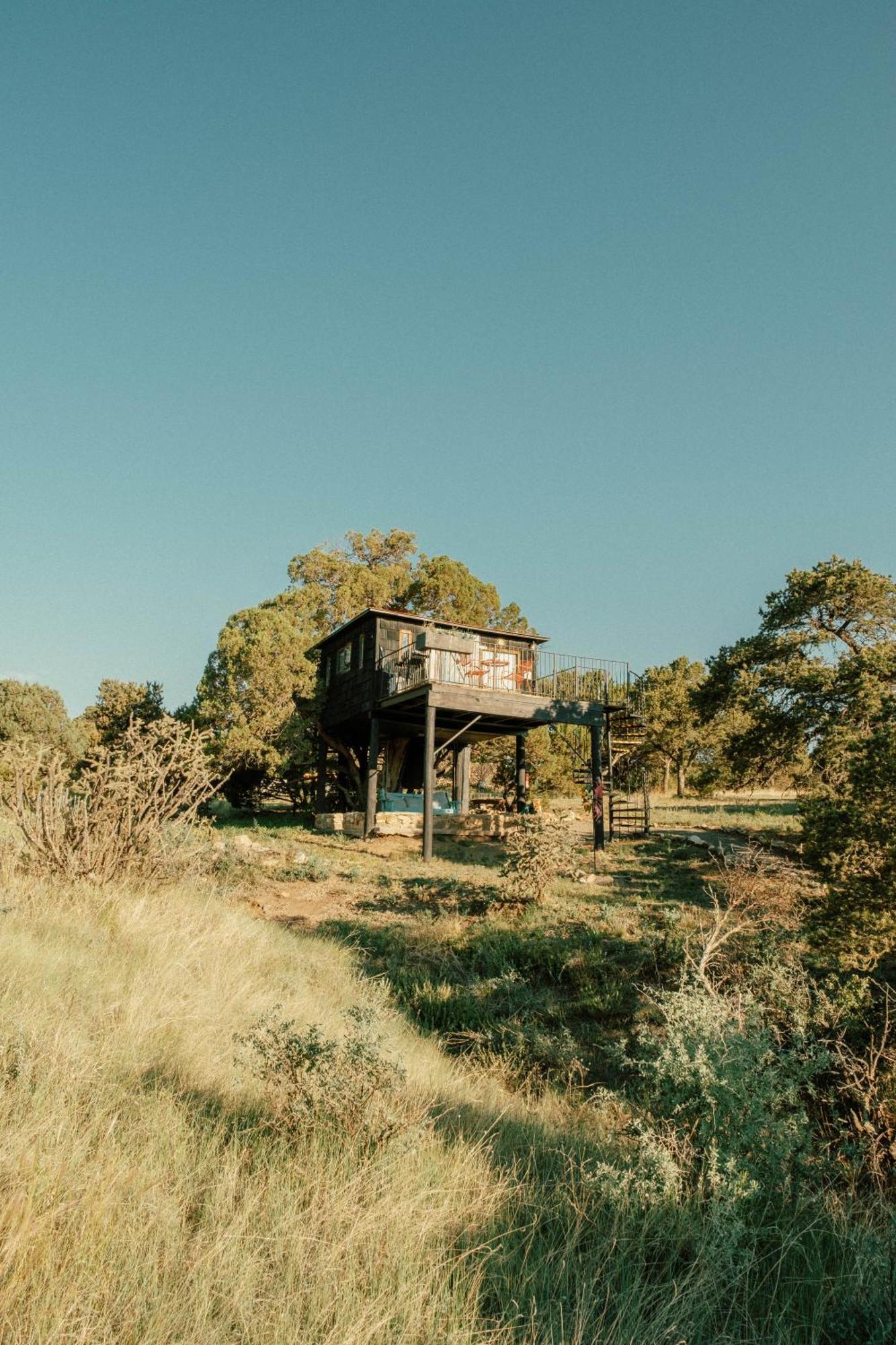 Nogal Ashley'S Treehouse At El Mistico Ranchヴィラ エクステリア 写真