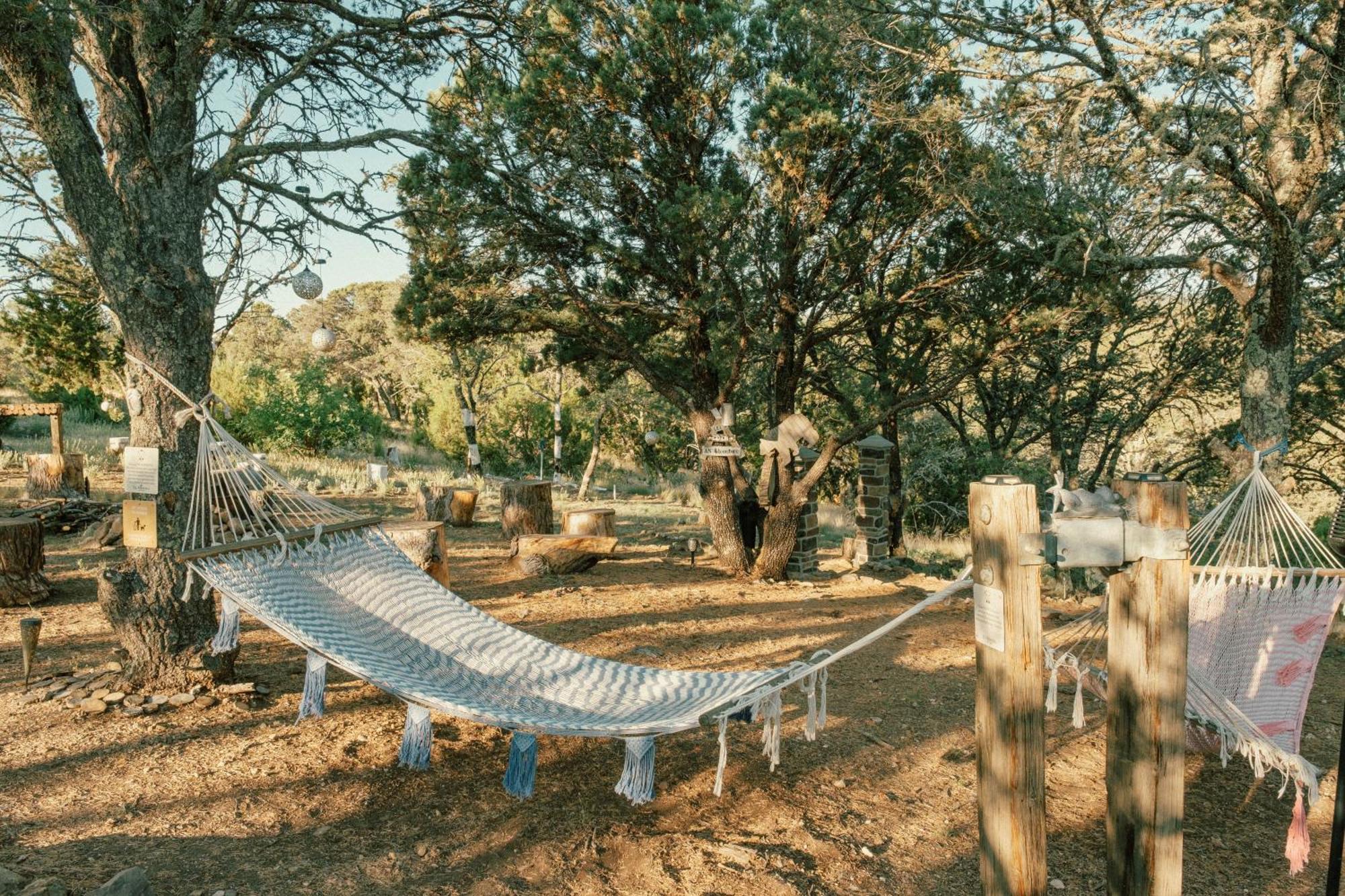 Nogal Ashley'S Treehouse At El Mistico Ranchヴィラ エクステリア 写真